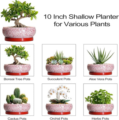 Bonsai Pots 10 Inch - Ceramic Succulent Planters for Indoor Plants Outdoor, Succulent Pots with Drainage Hole and Tray, Round Shallow Planter, Bonsai Planter, Home Decor, Gardening Gift, Red