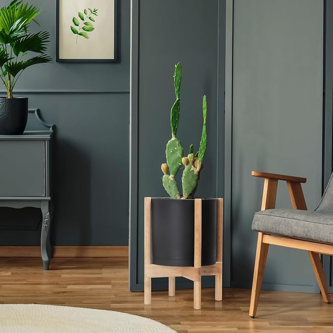 D'vine Dev Plastic Pot with Natural Wood Stand, Black, 12 in, 55-C-P-2 | Mid-Century Inspired Design, Elevated Plant Display, Clean Lines, Sturdy Support, Modern Space-Saving Style