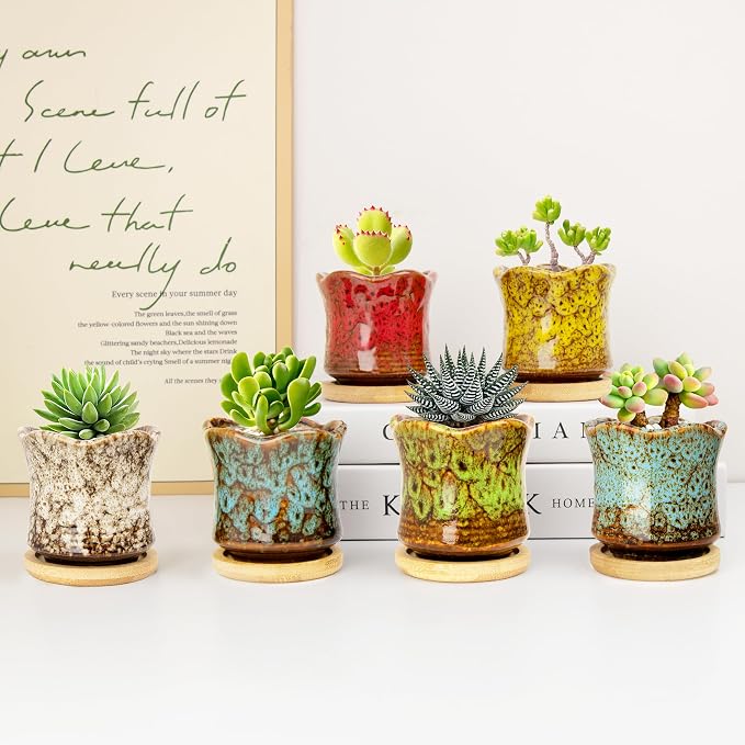 Succulent Pots with Drainage Tray, Cute Ceramic Pots for Plants Set of 6