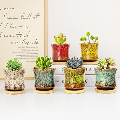 Succulent Pots with Drainage Tray, Cute Ceramic Pots for Plants Set of 6