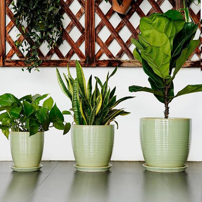 Ceramic Planter - 10 Inch Plant Pot for Indoor Outdoor with Drainage Hole and Plant Tray, Modern Round Home Office Patio Room Decor, House Warming Gifts, Green