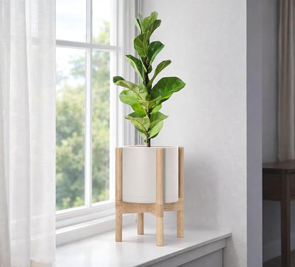 D'vine Dev Plastic Pot with Natural Wood Stand, Oatmeal, 8 in, 55-C-J-4 | Mid-Century Inspired Design, Elevated Plant Display, Clean Lines, Sturdy Support, Modern Space-Saving Style