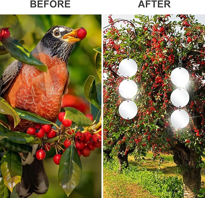 XPCARE 30 Pcs Bird Scare Discs Set, Reflective Double-Sided Bird Reflectors Upgraded Discs Set Reflective to Scare Bird Like Woodpeckers Pigeons Ducks