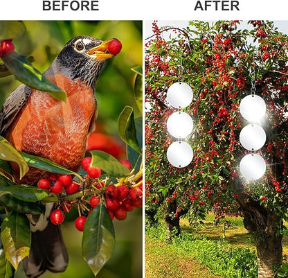 XPCARE 30 Pcs Bird Scare Discs Set, Reflective Double-Sided Bird Reflectors Upgraded Discs Set Reflective to Scare Bird Like Woodpeckers Pigeons Ducks