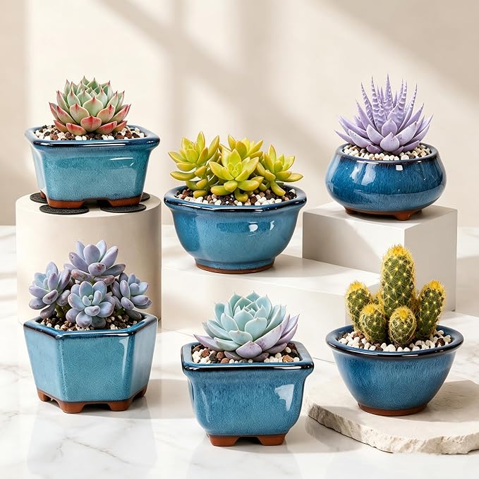6 Pack Bonsai Pot Planter, 3" 4" Ceramic Glazed Succulent Pots | Small Succulent Planters with Drainage, for Indoor Outdoor Plants, Cactus, Flowers