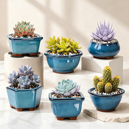 6 Pack Bonsai Pot Planter, 3" 4" Ceramic Glazed Succulent Pots | Small Succulent Planters with Drainage, for Indoor Outdoor Plants, Cactus, Flowers