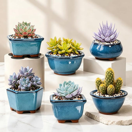 6 Pack Bonsai Pot Planter, 3" 4" Ceramic Glazed Succulent Pots | Small Succulent Planters with Drainage, for Indoor Outdoor Plants, Cactus, Flowers