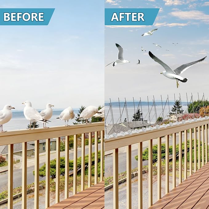 Bird Spikes 3.28FT, 304 Stainless Steel Pigeon Spikes with Plastic Base for Gardens Outdoor, Keep Seagull Pigeon Away Birds Scarer Devices 4PACK