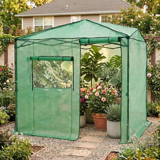 EAGLE PEAK 6x8 Portable Walk in Greenhouse, Pop Up Indoor Outdoor Greenhouse, Green House Kit with Zippered Roll-Up Doors and Windows, Side Door Design, PE Cover, Clear/Green