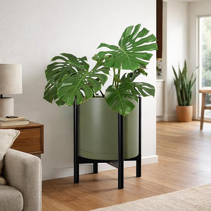 D'vine Dev Plastic Pot with Ebony Wood Stand, Olive, 16 in, 55-C-Z-3 | Mid-Century Inspired Design, Elevated Plant Display, Clean Lines, Sturdy Support, Modern Space-Saving Style