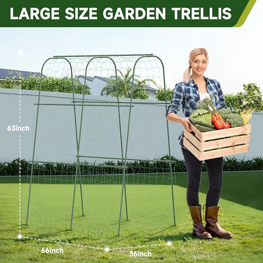 HIRALIY Cucumber Trellis for Climbing Plants Outdoor, 5.25ft Tall Heavy Duty Metal Garden Arch Trellis, Rustproof Plant Support Tunnel for Tomato, Grape, Bean, Raised Bed and Vegetable Gardens, Green