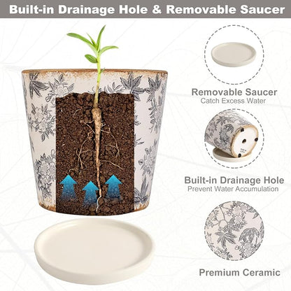 Ceramic Flower Pots For Indoor Plant, 5.5 Inch Small Ice Crack Plant Pots With Drainage Hole & Saucer, Decorative Vintage Planters For Succulent Herb Cactus Mint Basil, Garden Pot For Home Decor