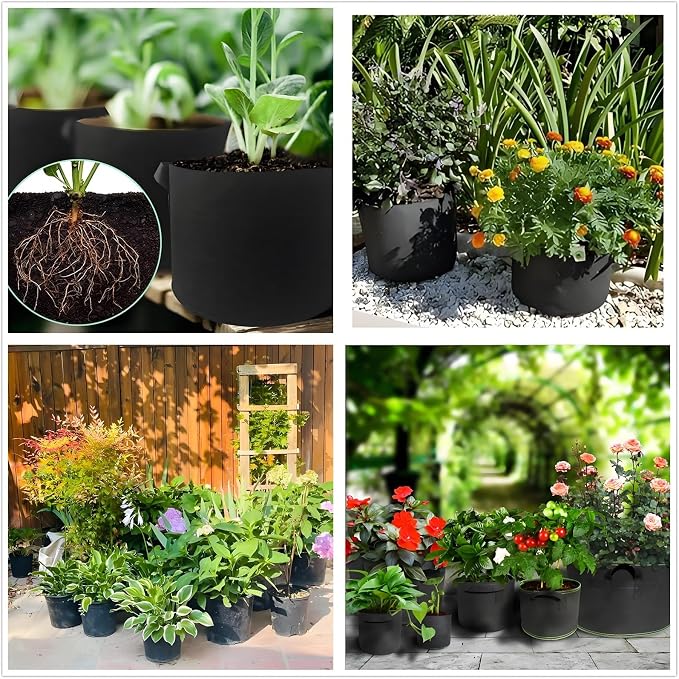 ANSLYQA 10-Gallon Grow Bags, (10 Pack) Thickened Aeration Fabric Growing Pots Planters with Handles for Planting Vegetables Plants, Black