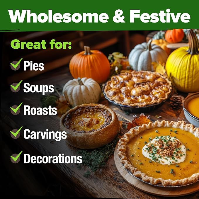HOME GROWN Pumpkin Seeds 5 Variety Mix 40+ Heirloom Non-GMO, High Germination, Connecticut Field, Blue, White & Mini Pumpkins,Edible & Jack O Lanterns,Autumn Harvest,Ornamental Garden (Cucurbita pepo)