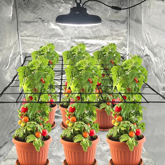 Trellis Netting, 2 Pack Scrog Nets with 8 Hooks, 4x4 Trellis Net for Grow Tent, Heavy-Duty Plant Net for Cucumber Gardening and Horticulture, Grow Tent Accessories