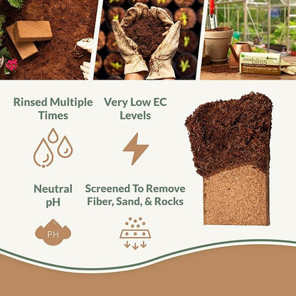 Coco Coir 650gm Bricks (5-Pack) - Organic Coco Coir for Plants & Gardening - OMRI-Listed Cocopeat for Garden Soil, Seed Starter Soil, & Mulch - Organic Coconut Bricks - Coconut Fiber Potting Mix