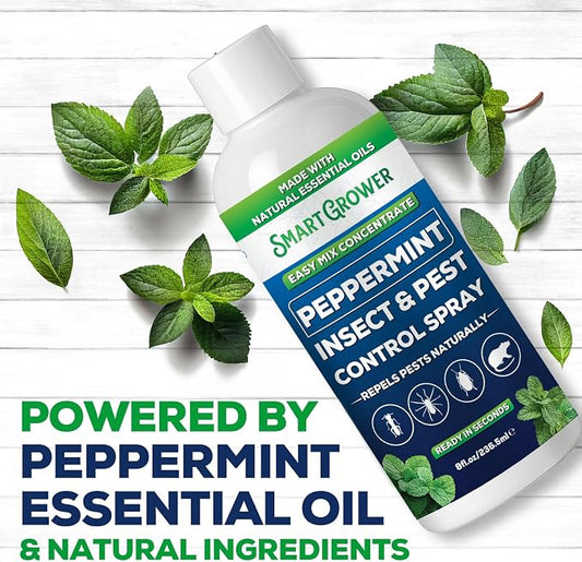 Peppermint Insect & Pest Control Best Value Concentrate - Repels Insects & Pests for Home, Indoor, Outdoor, Garden - Maximum Strength Concentrate (Makes One Gallon RTU) 8 oz