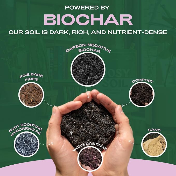 Seedling Seed Starter Soil Mix (4 qts) + Indoor Potting Soil (4 qts) - Peat Free - Potting Seed Starting Mix - Potting Soil Mix for Indoor Plants