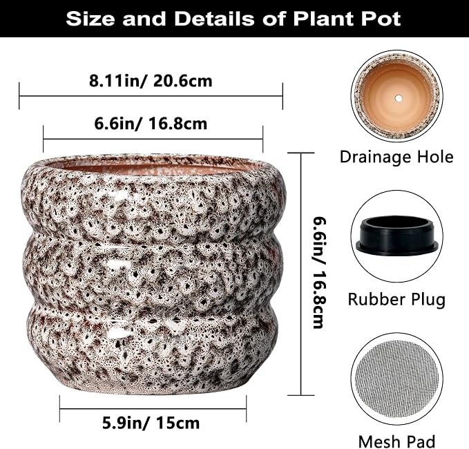 SQOWL Ceramic Plant Pots - 8 Inch Ceramic Planter for Indoor Plants Outdoor, Round Planter with Drainage Hole, Round Decorative Flower Pots, Living Room Office Garden Decor, Gardening Gifts, White