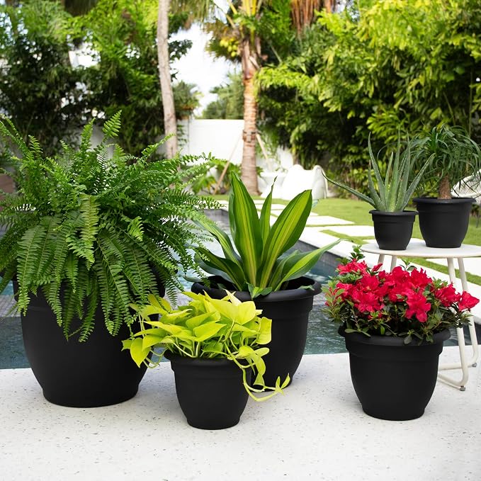 Bloem Ariana 6" Plastic Self-Watering Planter, Black, 4-Pack | Self-watering disk at the bottom of each pot that acts as a water wick and reservoir for optimal plant health