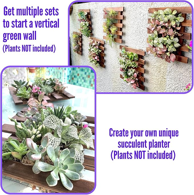 ShopLaLa Wall Planter (40cm, 2 Pack) Wooden Succulent Air Plant Wall Hanger | Orchid Planter Frame Display Outdoor Plants Wall Mount Holder Vertical Garden Plant Wall Decor Macetas para Orquideas