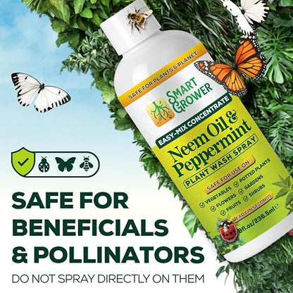 Neem Oil Spray for Plants with Peppermint Oil – for Indoor & Outdoor Plants, Gardens, & Houseplants– Best Value Refill 8 oz Concentrate Makes 1 Gallon RTU