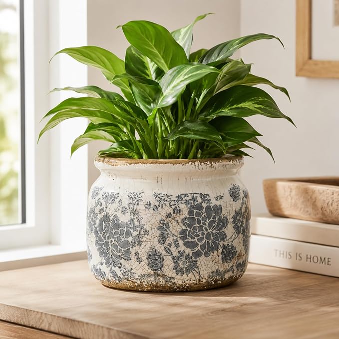 Dosayes Large Ceramic Pot for Planters, Ice Crack Glazed Flower Pot with Drainage Holes,5.91inch Vintage Planters for Indoor and Outdoor (Gray)