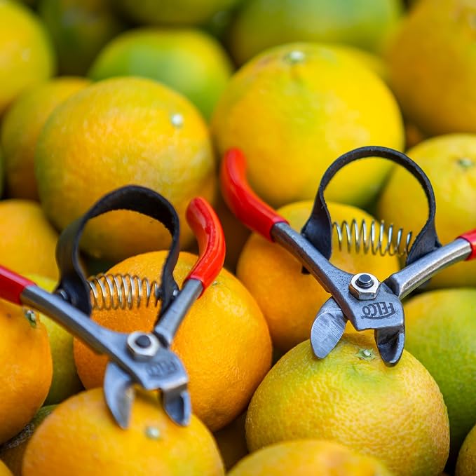FELCO 330 - Citrus Clipper - Harvest Snip - Orange, Clementines, Apple & Fruit Stems