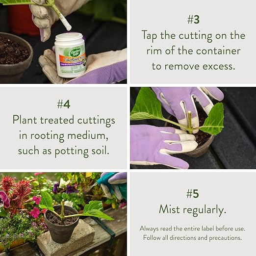 Garden Safe Take Root Rooting Hormone, Promotes Rooting, Grow New Plants from Cuttings, 2 Ounce, 3 Pack
