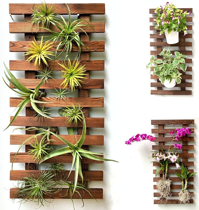 ShopLaLa Wall Planter - Wooden Hanging Planter for Indoor Plants, Plant Stand, Air Plant Succulent Holder, Vertical Garden. Large Wall Decor for Living Room, Room Decor for Teens, 60cm (23.6") | Air Plant Succulent Holder, Plant Stand, Vertical Garden ...