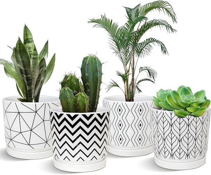 Ton Sin Plant Pots,5.5 Inch White Pots for Indoor Plants with Drainage Holes,Cylinder Flower Pot Ceramic Planters with Saucer,Cactus Succulent Outdoor Garden Pots Set of 4
