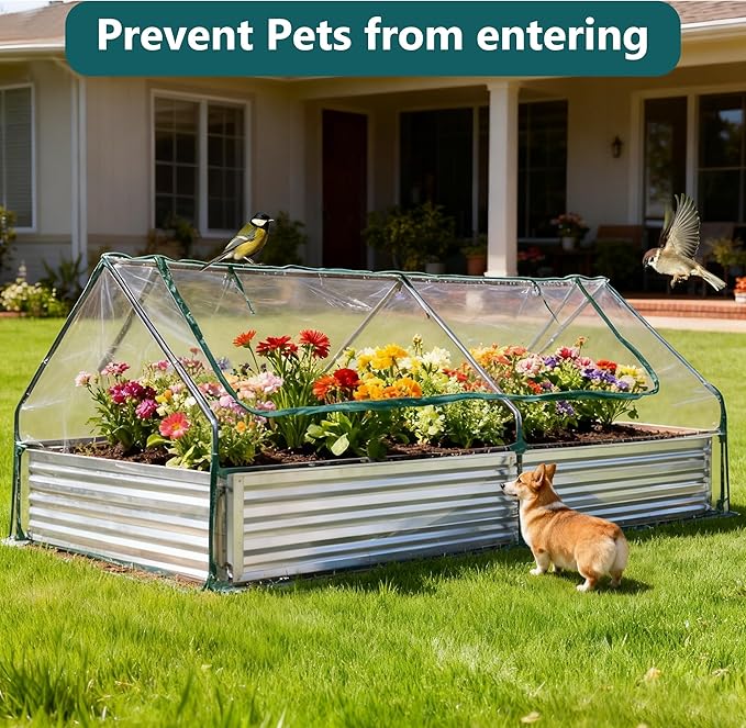 DUMOS Galvanized Raised Garden Bed with Cover, 8x4x1ft Metal Planter Box Outdoor for Deep-Rooted Vegetables Flowers Herbs, Garden Bed Mini Greenhouse for Patio Balcony Backyard, Open Bottom, Clear