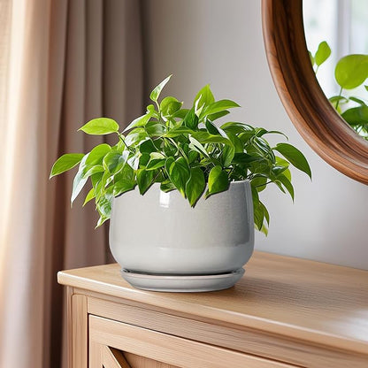 G EPGardening Ceramic Pots for Plants - 6 Inch Plant Pot with Drainage and Ceramic Tray, Modern Succulent Pots, Round Planters for Indoor Plants, Living Room Decor, Gifts for Plant Lovers, Light Grey