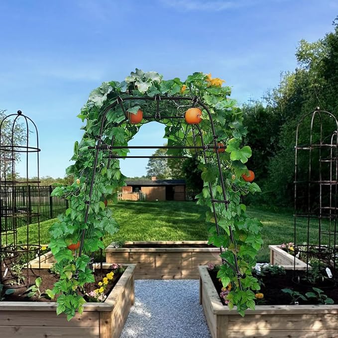 AlisisFores Garden Arch Plant Trellis for Climbing Plants Outdoor, Grape Trellis Metal, Cucumber Trellis for Raised Bed, Arbor Trellis Plant Support Flower Vegetables,Tomato Black,6.7FT Rust-Proof