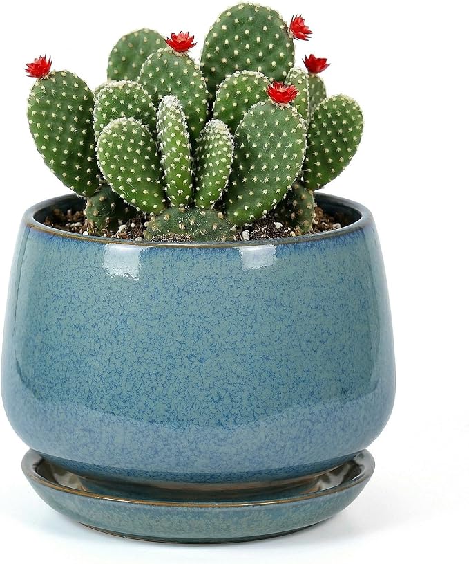 7.5 Inch Flower pots for Indoor Outdoor Plants with Saucer Drainage Leak-Proof Mesh, Ceramic Planter with Gardening Gloves for Succulent and Flower(Crackled Blue)