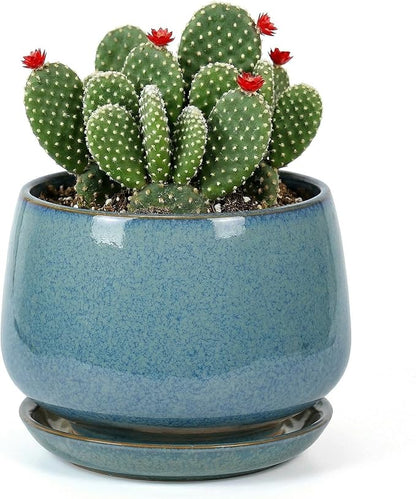 7.5 Inch Flower pots for Indoor Outdoor Plants with Saucer Drainage Leak-Proof Mesh, Ceramic Planter with Gardening Gloves for Succulent and Flower(Crackled Blue)
