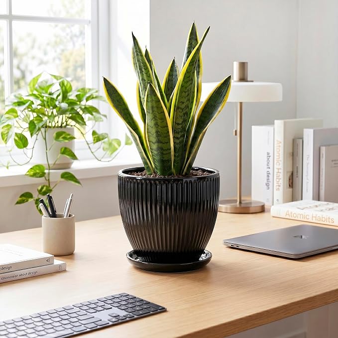 8 Inch Plant Pot, Ceramic Planter with Drainage Hole and Saucer, Modern Planters for Indoor Plants, Indoor Planter, Decorative Round Flower Pot, Apartment Decor, Plant Lover Gifts, Black