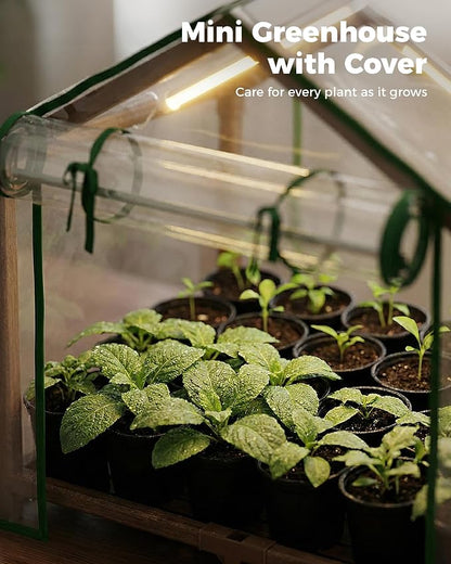 Bamworld Mini Greenhouse Indoor Desktop with Grow Lights Small Grow Tent Reusable Portable Warm House with PE Cover Ventilation Window for Seed Starting