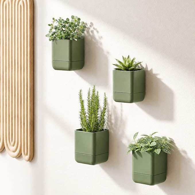 Phoenix Vine 4.5 Inch Wall Mounted Self-Watering Planter Pot for Indoor Houseplants and Herbs | Hanging Planter for Window Sills, Bathroom Walls, Home & Office Décor, Olive, Set of 2, 01-B-F-2