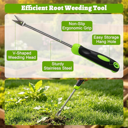 Weed Puller Tool Set, 3-Piece Stainless Steel Garden Weeder Tool Kit, Manual Crack Weeder Crevice Weeding Tool, Hand Weeder Tool for Dandelion, Uprooting Weeding Tools for Garden (Green (3 pcs))