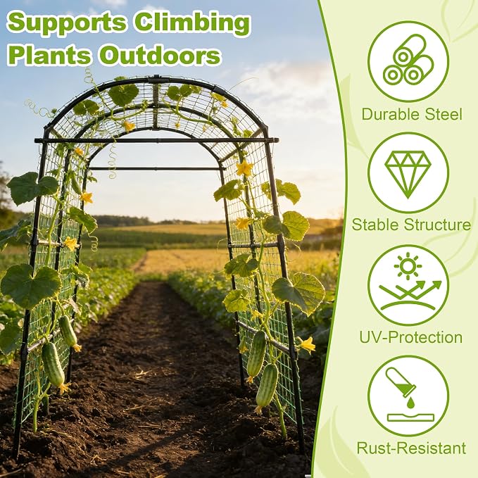 Miory Garden Arch Trellis for Climbing Plants Outdoor, 7ft Tall Plants Support Trellis for Climbing Vine Tomato Vegetable Flower Fruit, Cucumber Trellis for Raised Bed (71 x 83 Inch)