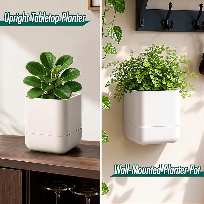 Phoenix Vine 4.5 Inch Wall Mounted Self-Watering Planter Pot for Indoor Houseplants and Herbs | Hanging Planter for Window Sills, Bathroom Walls, Home & Office Décor, Oatmeal, Set of 3, 01-B-G-3