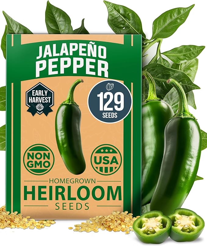 HOME GROWN Jalapeno Pepper Seeds 129+ Heirloom Non-GMO Seeds for Planting, High Germination, Mild to Medium Heat Hot Peppers, Prolific Garden Crop, Perfect for Salsa & Pickling (Capsicum annuum)