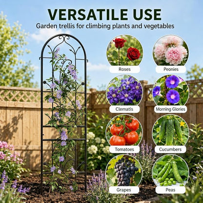 2-Pack 87" x 20" Sunflower Scroll Arch Black Metal Garden Trellises | Set of 2 rust-resistant trellises with Sunflower scrollwork, arched tops, and support for roses, vines, or vegetables