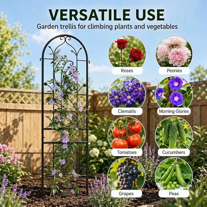 4-Pack 87" x 20" Sunflower Scroll Arch Black Metal Garden Trellises | Set of 4 rust-resistant trellises with floral scrollwork, arched tops, stakes, and support for roses, vines, or vegetables
