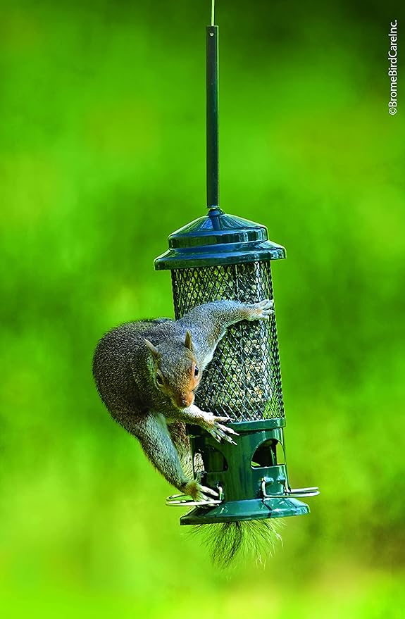 Squirrel Buster Standard Squirrel-proof Bird Feeder w/4 Metal Perches, 1.3-pound Seed Capacity, garden green | 1.3 Lb Capacity, 4 Metal Perches, Weight-Adjustable Closing, Chew-Proof, Uv-Resistant, Easy-Clean Design