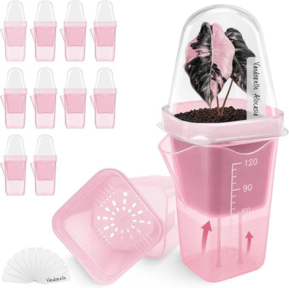 12 Pack 2" Small Pink Self Watering Pots with Humidity Dome for Indoor Plants,Clear Seed Starter Cup,Tissue Culture Acclimation Kit,Alocasia Corm Propagation,African Violet,Cutting,Seedling