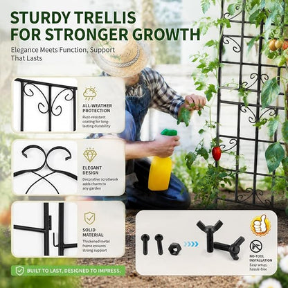 4-Pack 71" Black Metal Garden Trellises with Butterfly Design | Set of 4 black metal trellises with butterfly arch tops, scrollwork, spiked legs, and support for roses, vines, or veggies