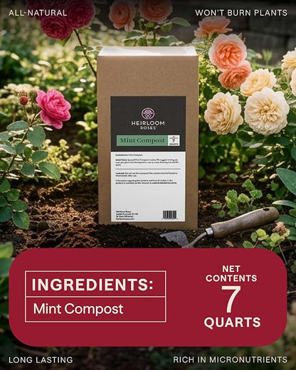 Heirloom Roses Mint Compost,100% Natural,Top Soil Amendment for Rose Planting, Rich in Micronutrients and Nitrogen for Garden Vegetables and Flowers, 7 Quart Box