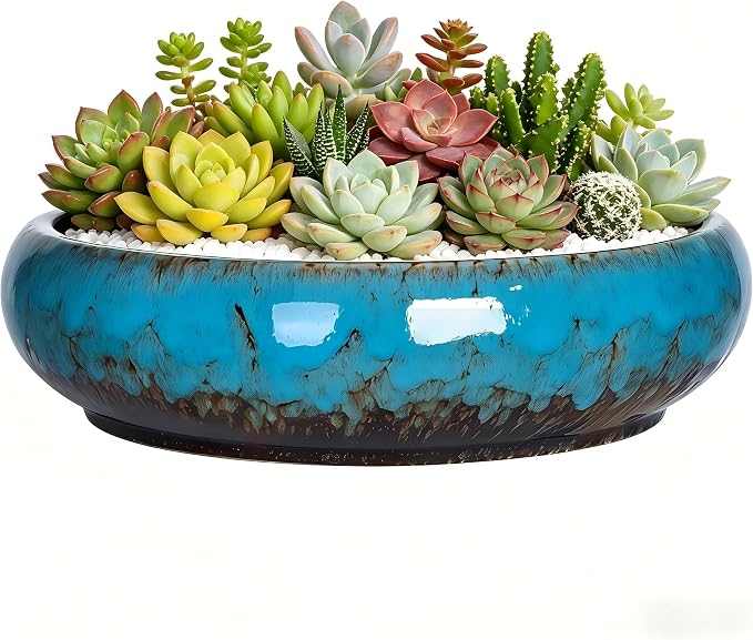 Succulent Pots, 10 Inch, Shallow Planter with Drainage for Succulent Planters, Bonsai Pots & Cactus Pots, Plant Pots, Ceramic Planters for Indoor Plants - Perfect for Home Offie Garden Decor, Blue